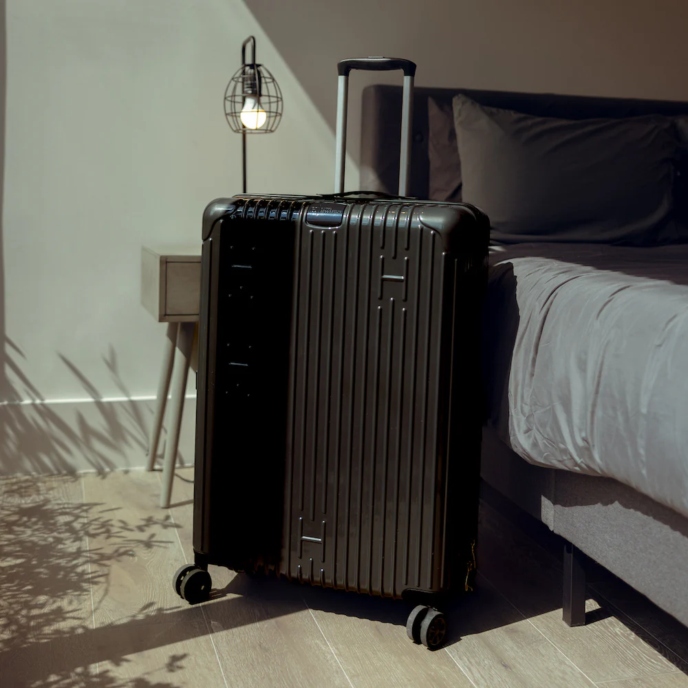 Check-In Luggage - Image 28